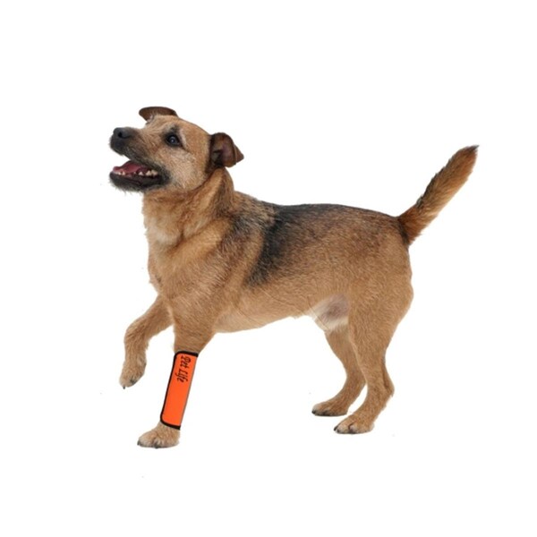 Petpurifiers Extreme-Neoprene Joint Protective Reflective Pet Sleeves- Orange - Small PE3706875 - main